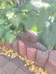 Ślimak żeliwny dekoracja ogrodu (3)